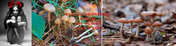 кокаин VHQ Новокубанск