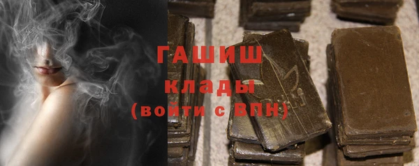 индика Новозыбков