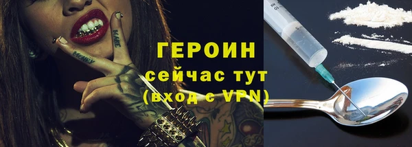индика Новозыбков