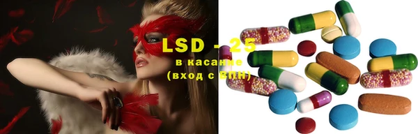 стафф Нефтегорск
