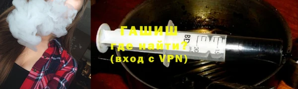 индика Новозыбков