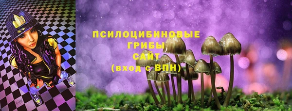 spice Нея