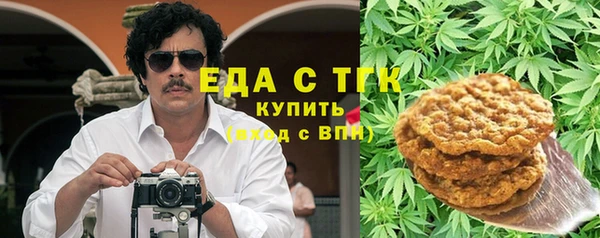 индика Новозыбков