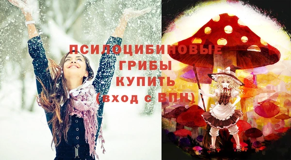 индика Новозыбков